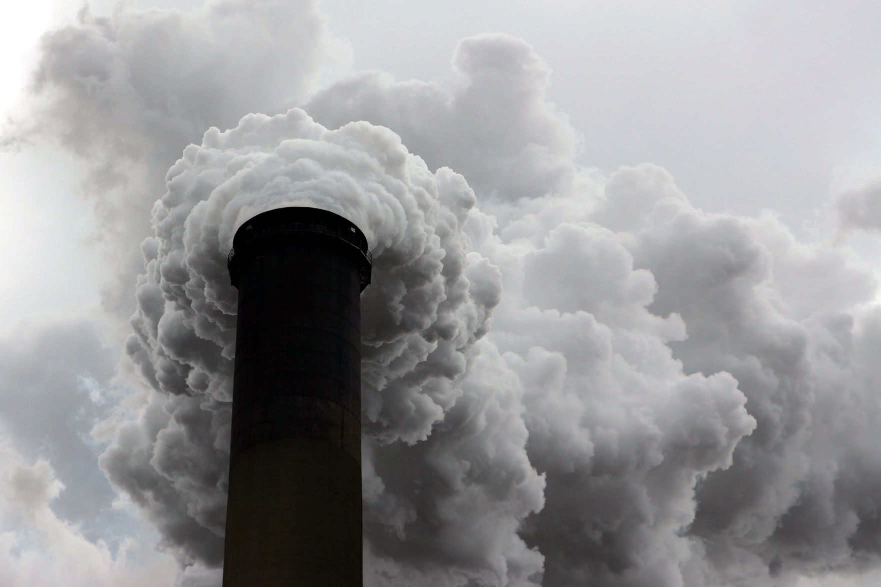 Coal